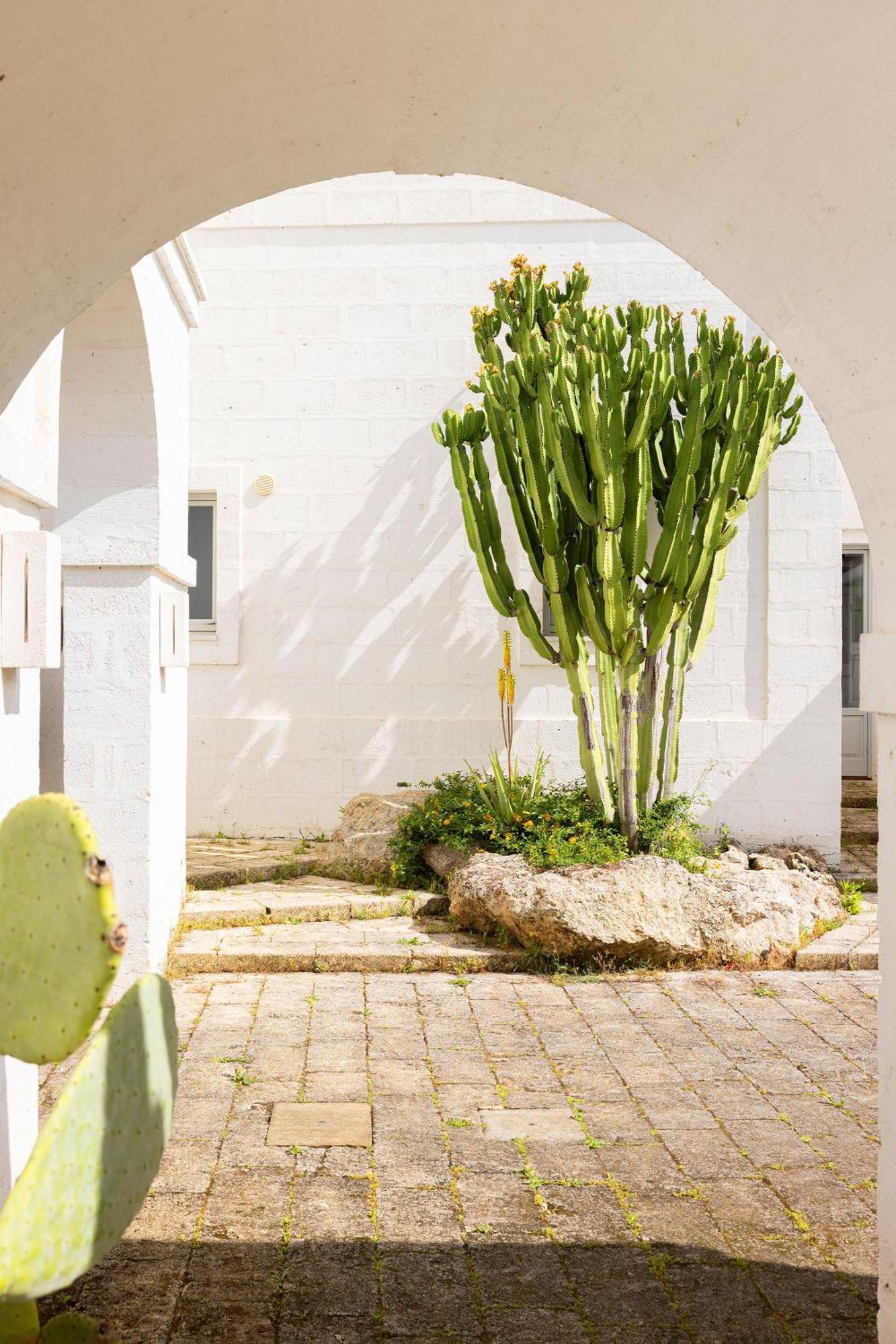 Masseria San Francesco Savelletri Eksteriør billede